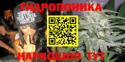 наркотики Сланцы