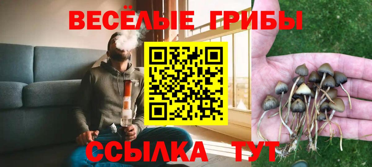 Воскресенск  Псилоцибиновые грибы Psilocybine cubensis  Вход с VPN  Псилоцибиновые грибы Cubensis 